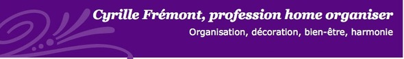 Cyrille Frémont, Home Organiser : Organisez votre intérieur Cyrille Frémont, Home Organiser : Organisez votre intérieur