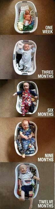 Evolution d'un bel enfant Evolution d'un bel enfant