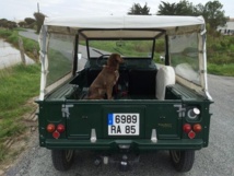 Interview de Patrice Cassard : Lancement de son nouveau projet Neeed. Interview de Patrice Cassard : Lancement de son nouveau projet Neeed.