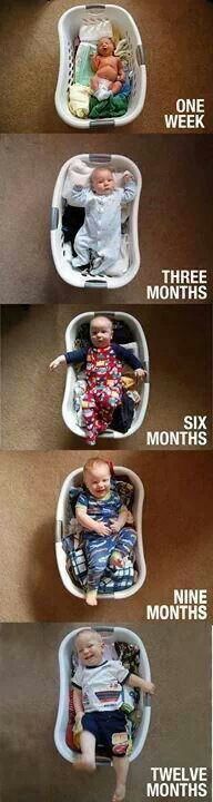 Evolution d'un bel enfant Evolution d'un bel enfant